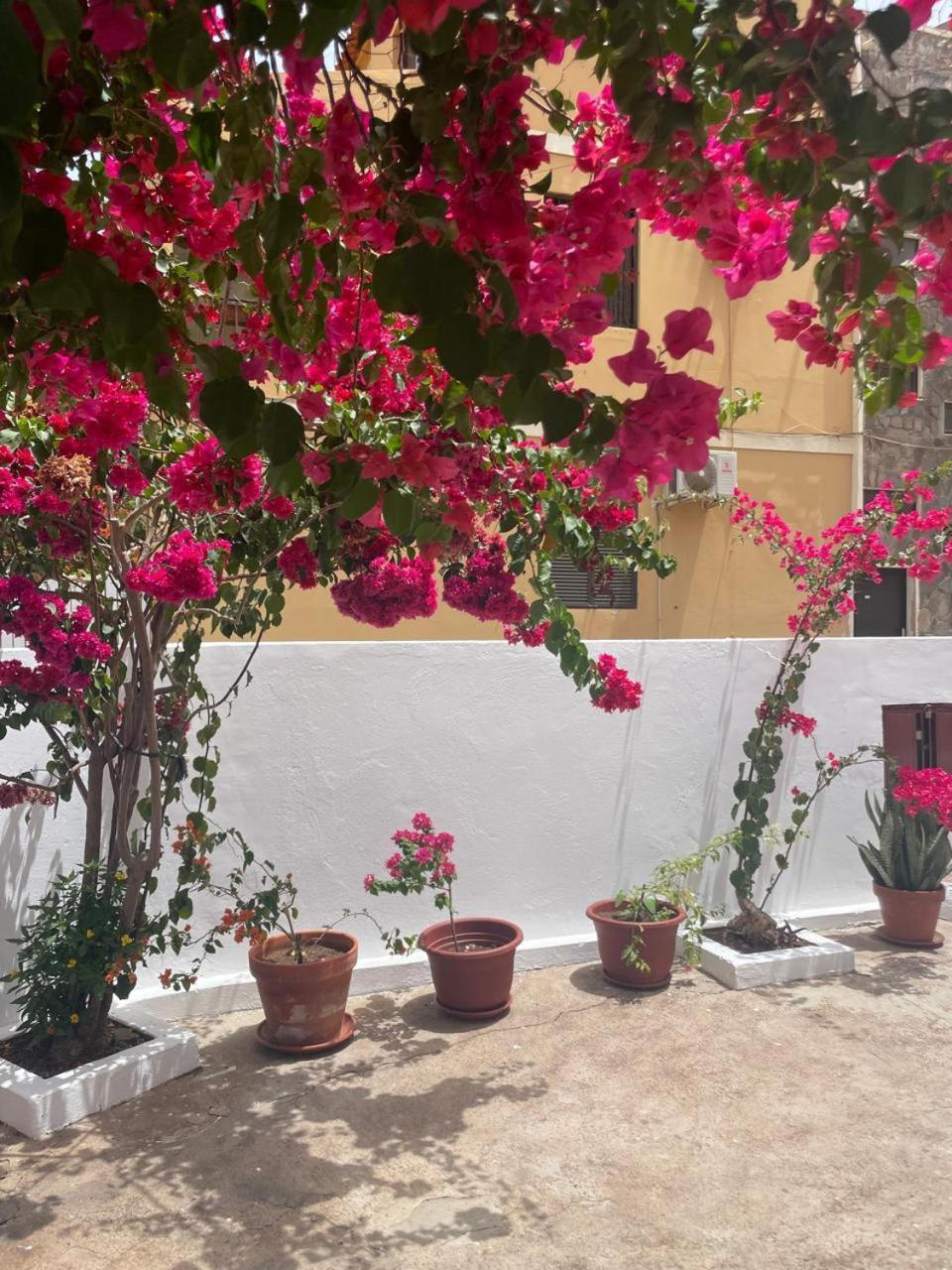 Casa Estrela - Sea & Art Guesthouse Praia Ngoại thất bức ảnh