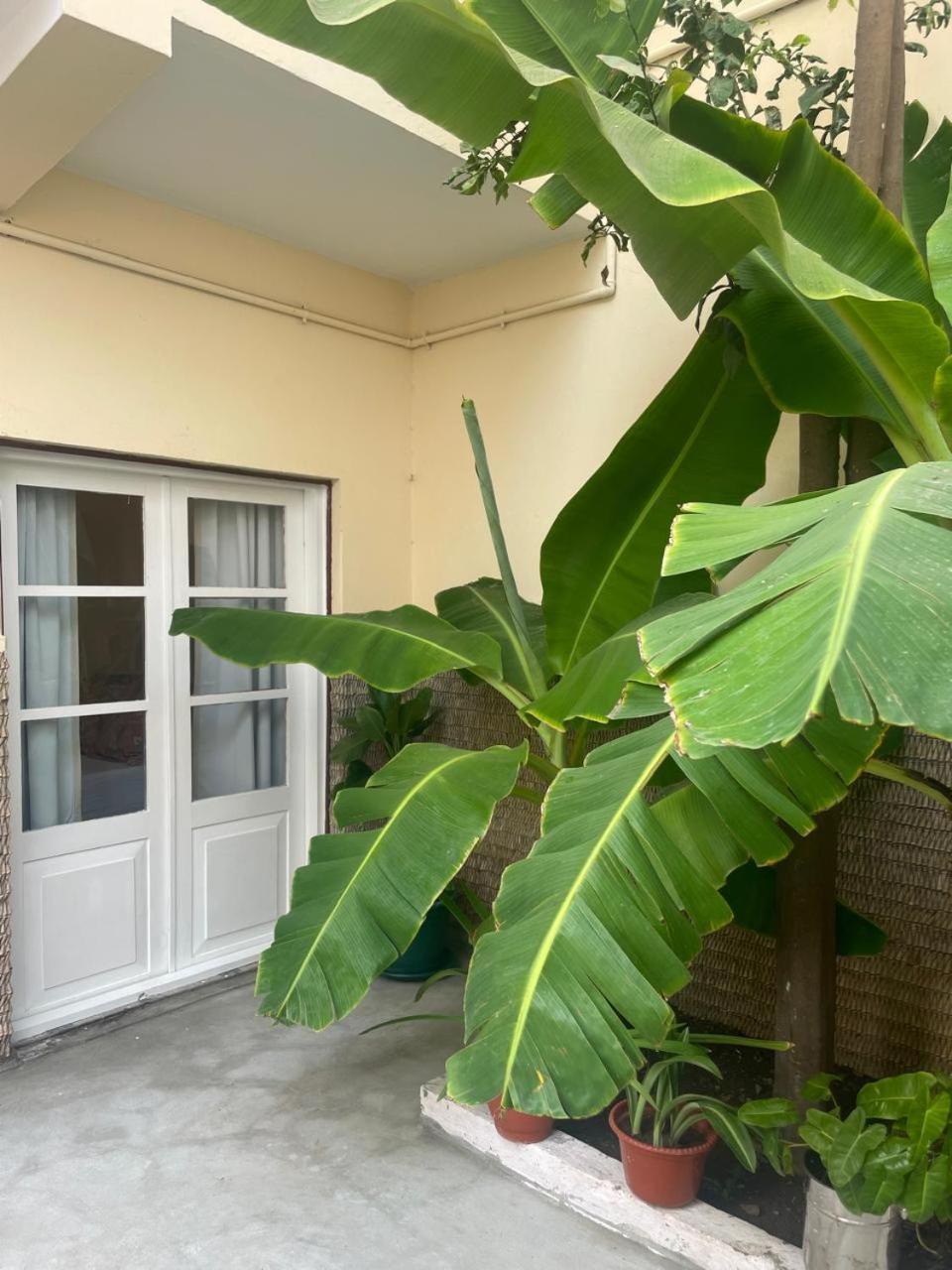 Casa Estrela - Sea & Art Guesthouse Praia Ngoại thất bức ảnh